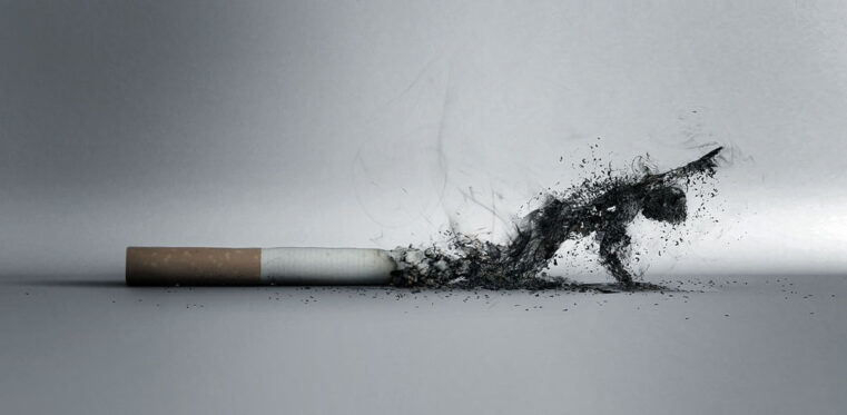思わず禁煙したくなる クリエイティブな世界の禁煙広告13選 Creive