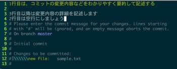 git_commit_terminal