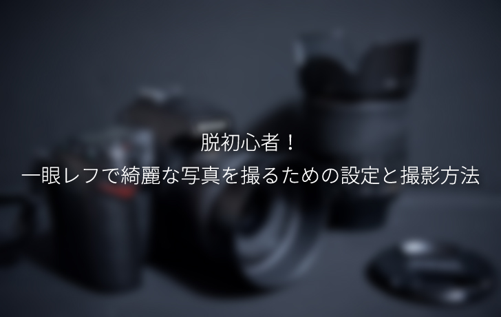 脱初心者 一眼レフで綺麗な写真を撮るための設定と撮影方法 Creive クリーブ