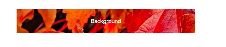 CSS】backgroundプロパティの使い方を徹底解説！  creive