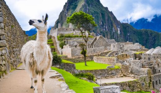 ペルーのレンタルWiFiおすすめを徹底比較【旅行・出張にも使える！】